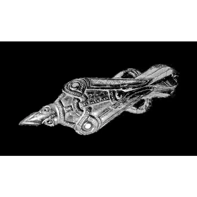 Bird Fibula UppƄkra - Image 3